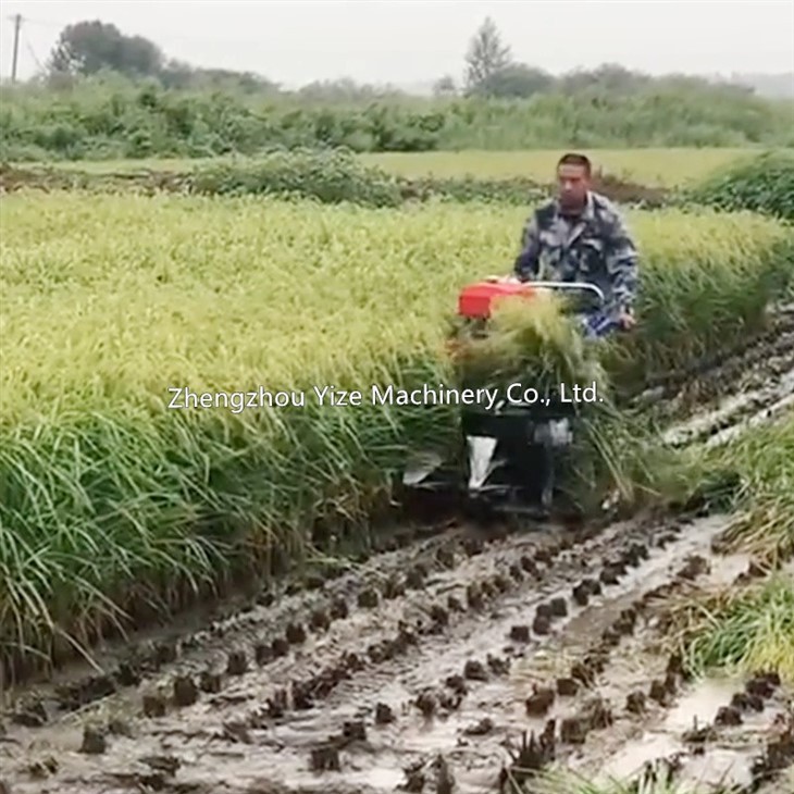 Rice Reaper Binder-8