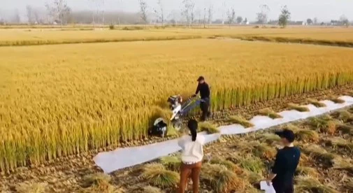 20231024165021 20231024165021