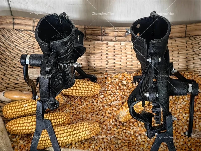 product-800-600 product-800-600