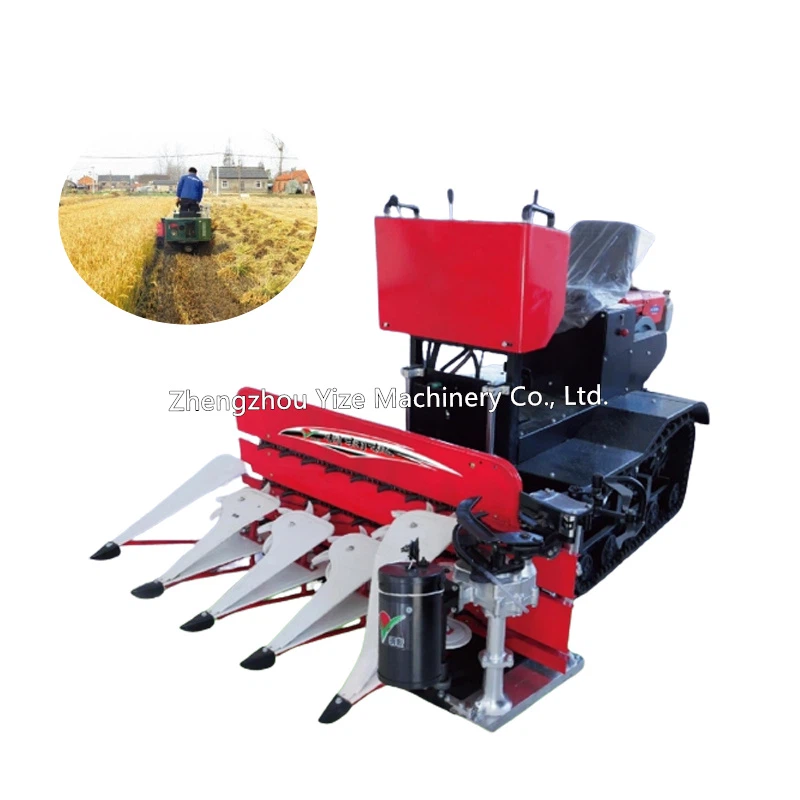 product-800-800 product-800-800