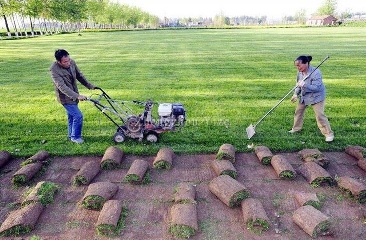 sod cutter (3) sod cutter (3)