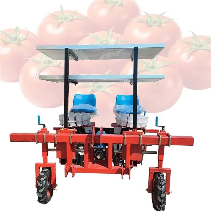 tomato seeding trsnsplanter 3